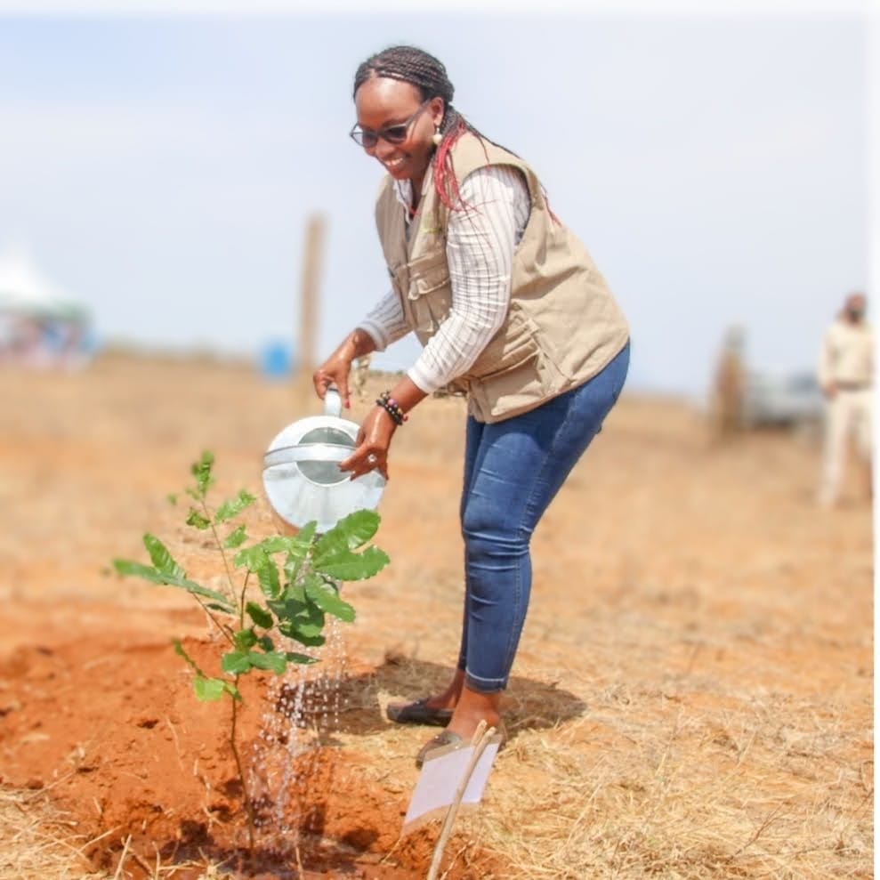 Environmental Conservation